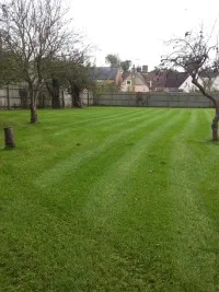 seeding_job__4_months_post_seed
